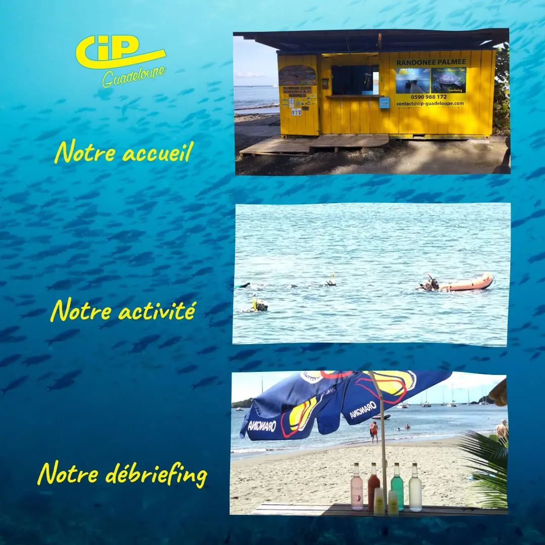 CIP Guadeloupe - rando palmée à la réserve Cousteau