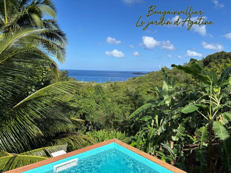 Jardin d'Agatine - Villa Bougainvillier - piscine vue mer