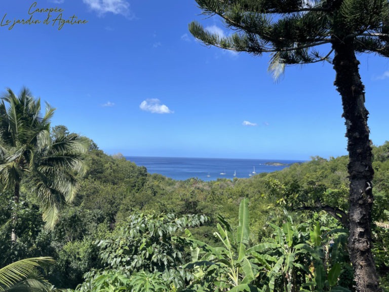Jardin d'Agatine - Villa Canopée vue mer