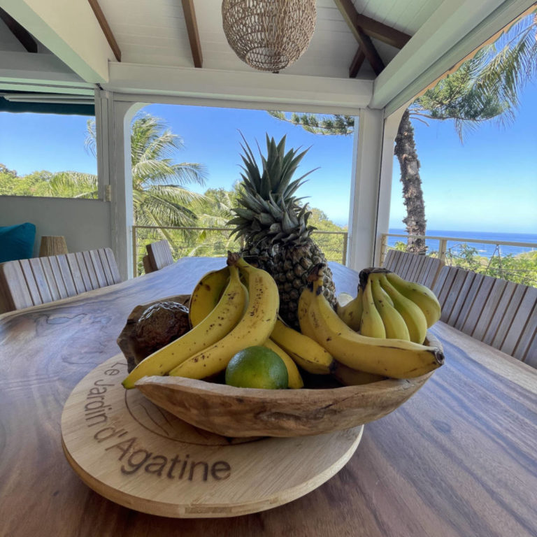 Jardin d'Agatine - Villa Canopée - terrasse vue mer